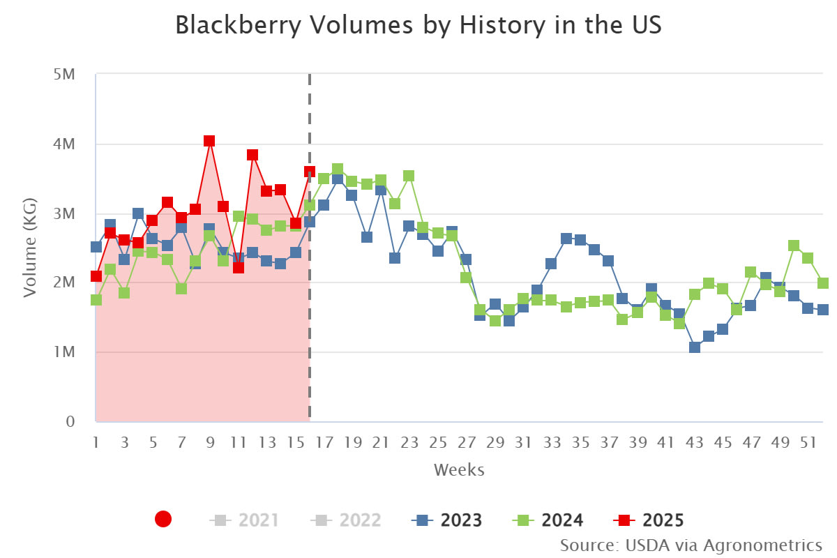 blackberry volumes by hi